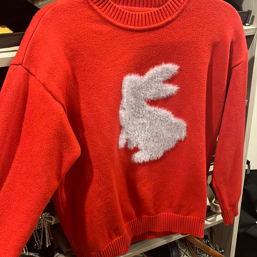 rabbit sweater